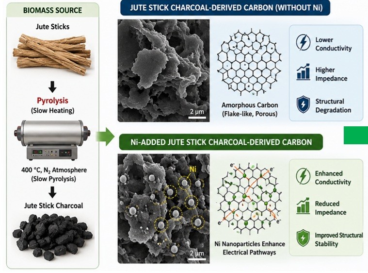 Graphical Abstract